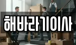 해바라기이사