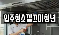 입주청소깔끄미청년