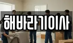 전북특별자치도 김제시 금구면 이사,용달이사,포장이사,원룸이사,보관이사