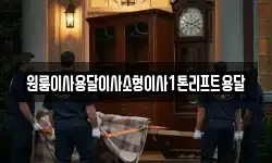 원룸이사용달이사소형이사1톤리프트용달