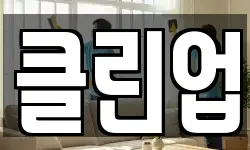 클린업