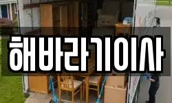 해바라기이사