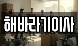 해바라기이사