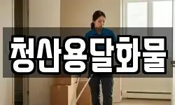 청산용달화물