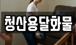 청산용달화물