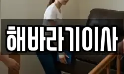 해바라기이사