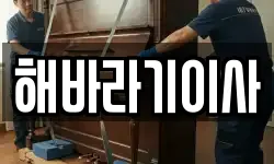 해바라기이사