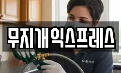 전북특별자치도 김제시 요촌동 이사,용달이사,포장이사,원룸이사,보관이사