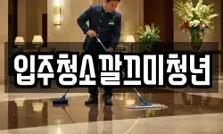 입주청소깔끄미청년