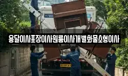 전북특별자치도 김제시 제월동 이사,용달이사,포장이사,원룸이사,보관이사