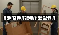 용달이사포장이사원룸이사개별화물소형이사