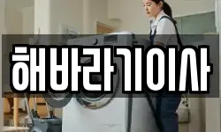 해바라기이사