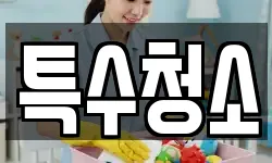 특수청소