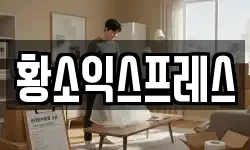 황소익스프레스