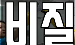 비질
