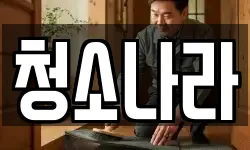 청소나라