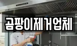곰팡이제거업체