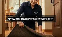 입주청소건물관리미화경비용역모든청소에어컨청소물탱크소독방역