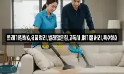 쓰레기집청소,유품정리,벌래많은집,고독사,폐기물처리,특수청소