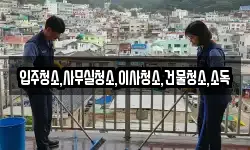 입주청소,사무실청소,이사청소,건물청소,소독