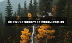 원룸이사용달이사포장이사사무실이사보관이사야간이사당일이사