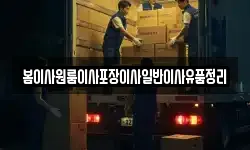 봄이사원룸이사포장이사일반이사유품정리