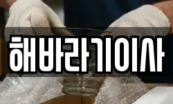 해바라기이사