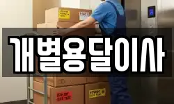 개별용달이사