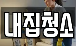 내집청소