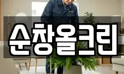 순창올크린