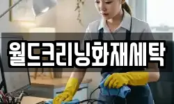 월드크리닝화재세탁