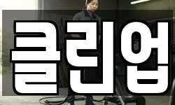 클린업