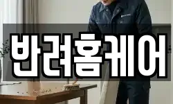 반려홈케어