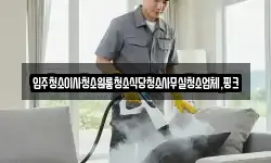 입주청소이사청소원룸청소식당청소사무실청소업체,핑크