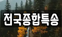 전국종합특송