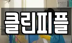 클린피플