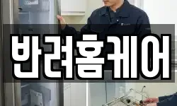반려홈케어
