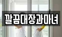 깔끔대장과마녀