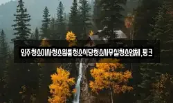 입주청소이사청소원룸청소식당청소사무실청소업체,핑크