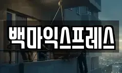 백마익스프레스