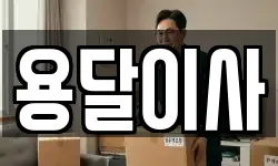 용달이사