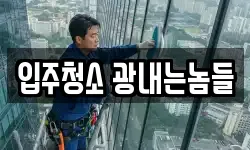 입주청소 광내는놈들