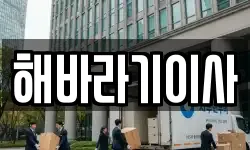 해바라기이사