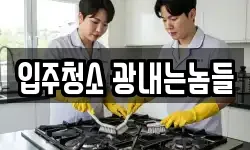 입주청소 광내는놈들