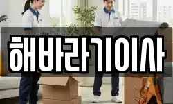 해바라기이사