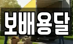 보배용달