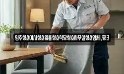 입주청소이사청소원룸청소식당청소사무실청소업체,핑크