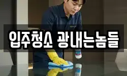 입주청소 광내는놈들