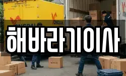해바라기이사