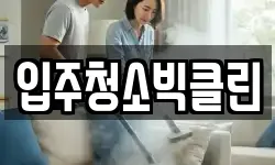 입주청소빅클린